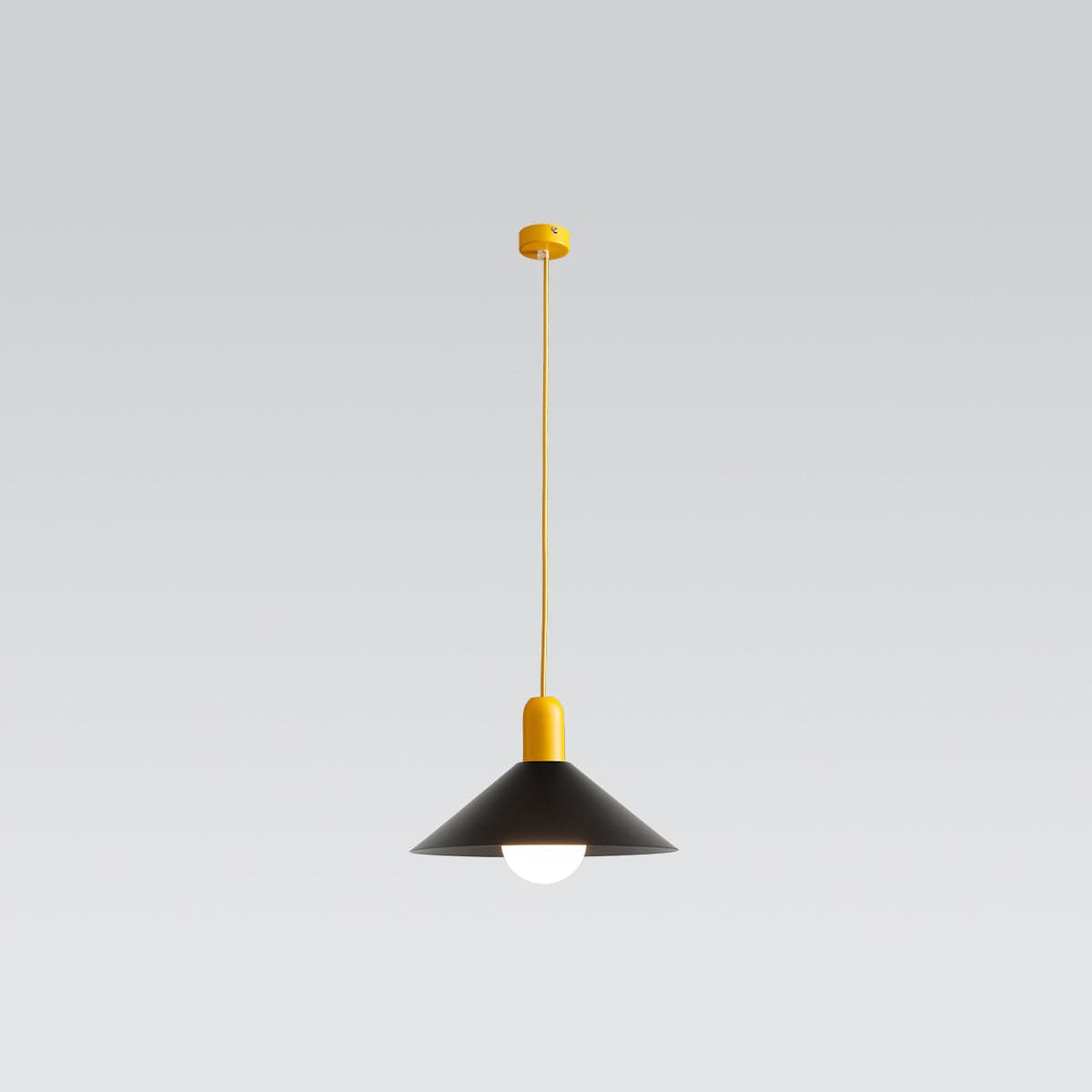 Cambio Shade H Black on Accord Yellow