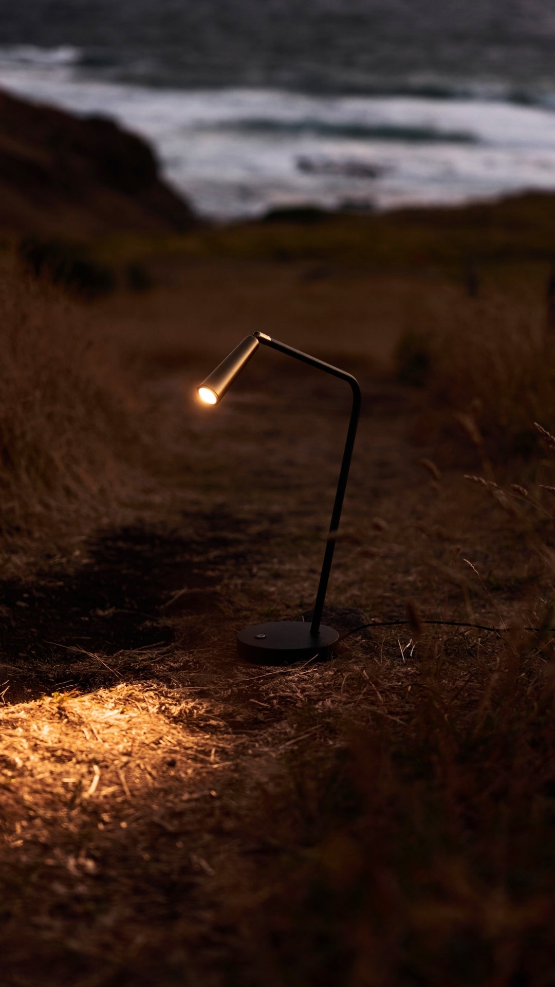 Darnel LED Table Lamp