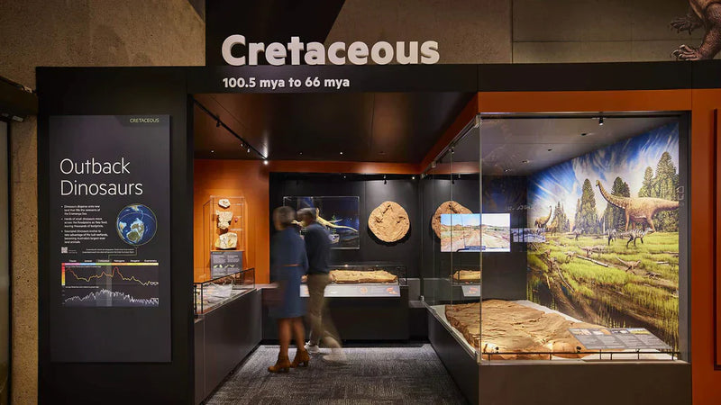 Lighting the Past: How the Magmini Track System Enhances Queensland Museum’s Dinosaur Gallery