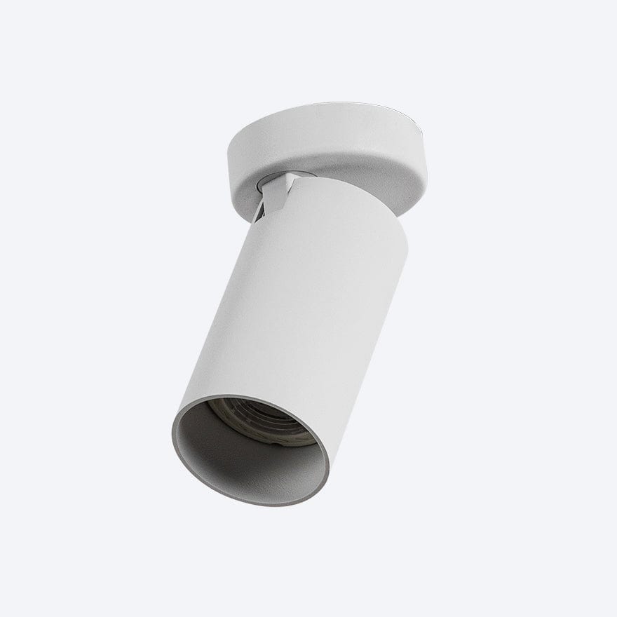 BINOCOLO