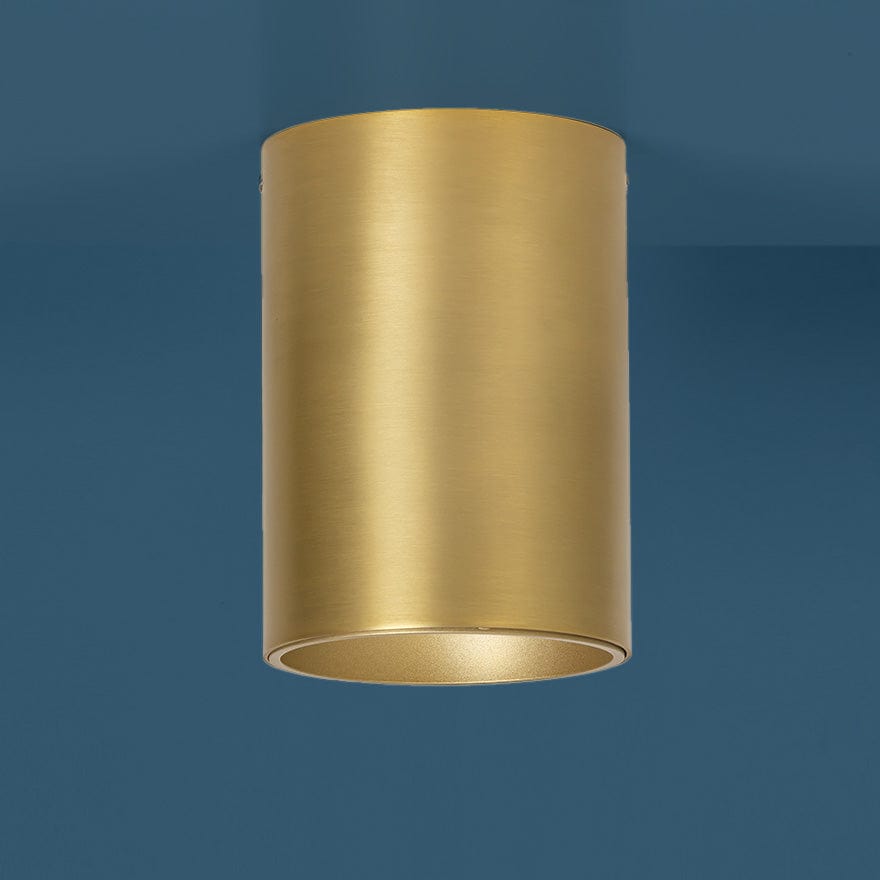 About Space Lighting Cannon LED Ceiling Light  CRI90