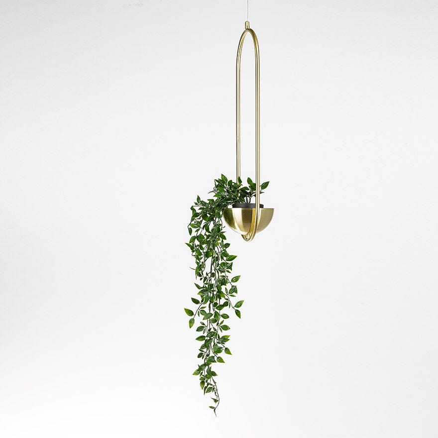 About Space Lighting Evora 1 Planter Frame Pendant