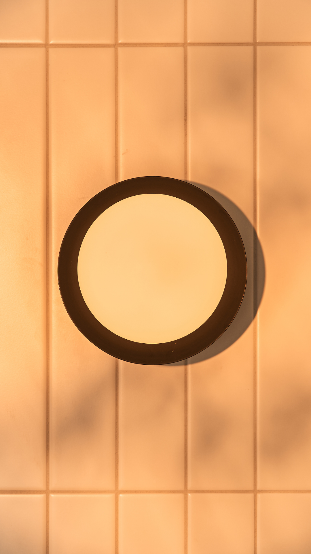 Forte 12V Wall Light with Yosh Shade