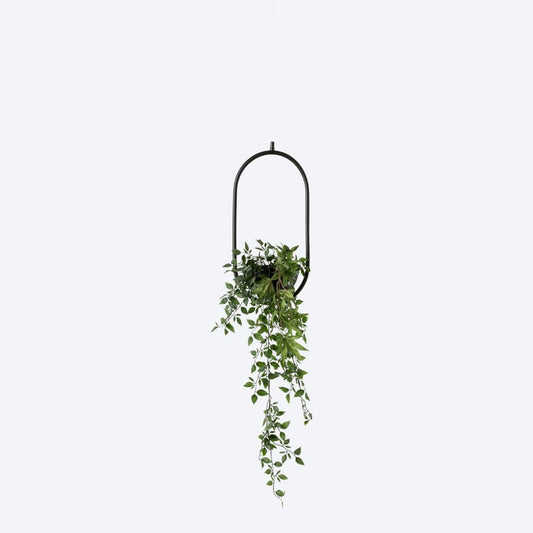 About Space Lighting Evora 1 Planter Frame Pendant