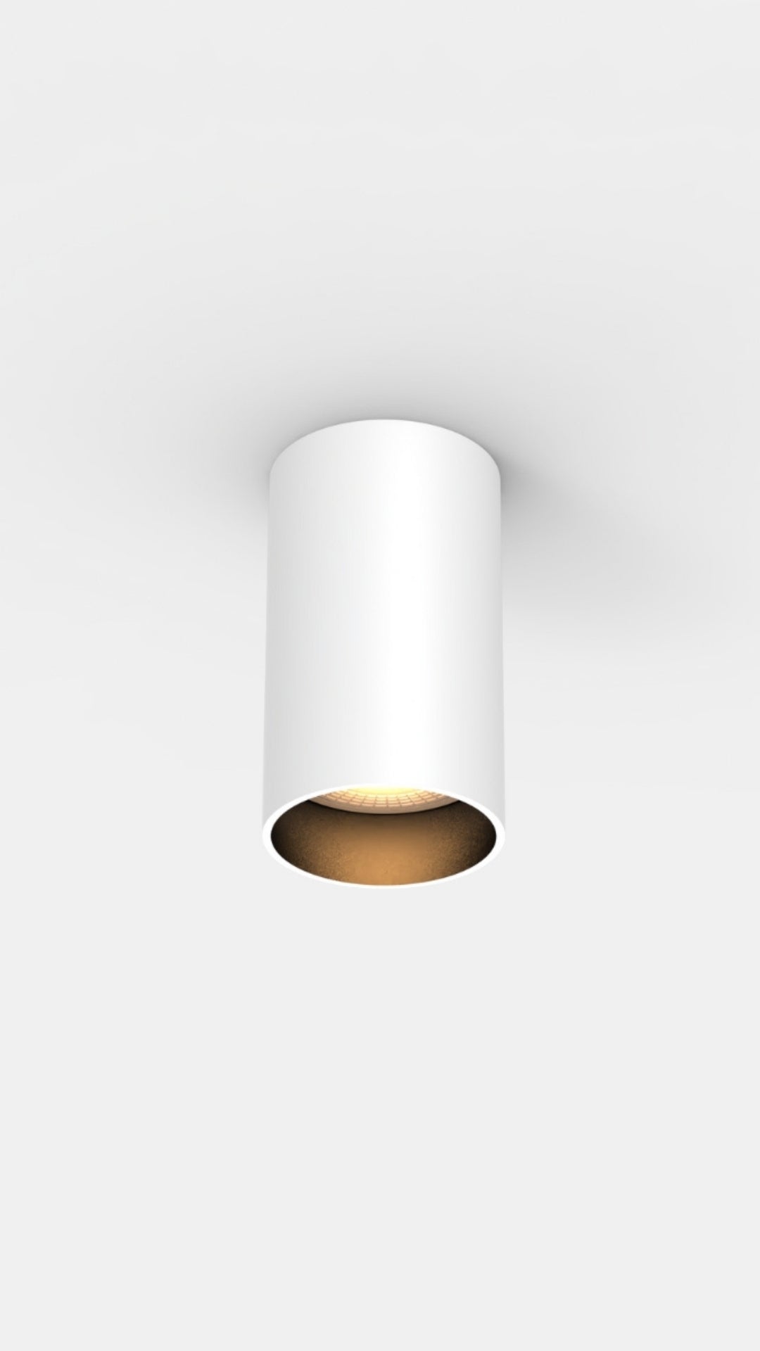 Leon Ceiling Light