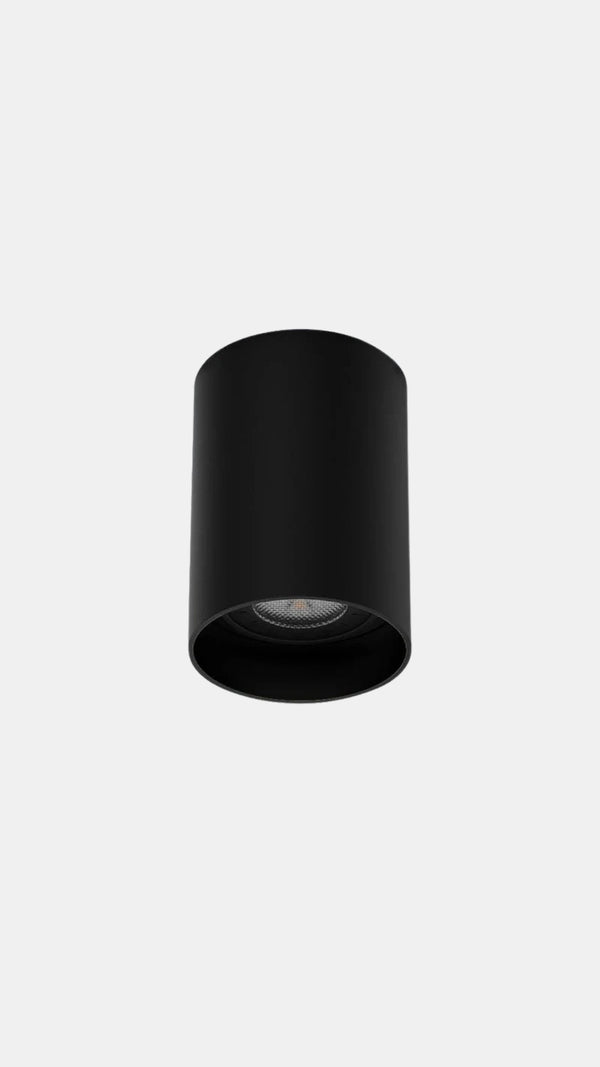 Leon Ceiling Light