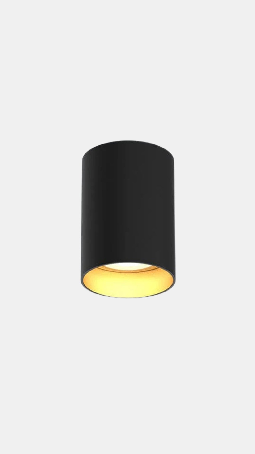 Leon Ceiling Light