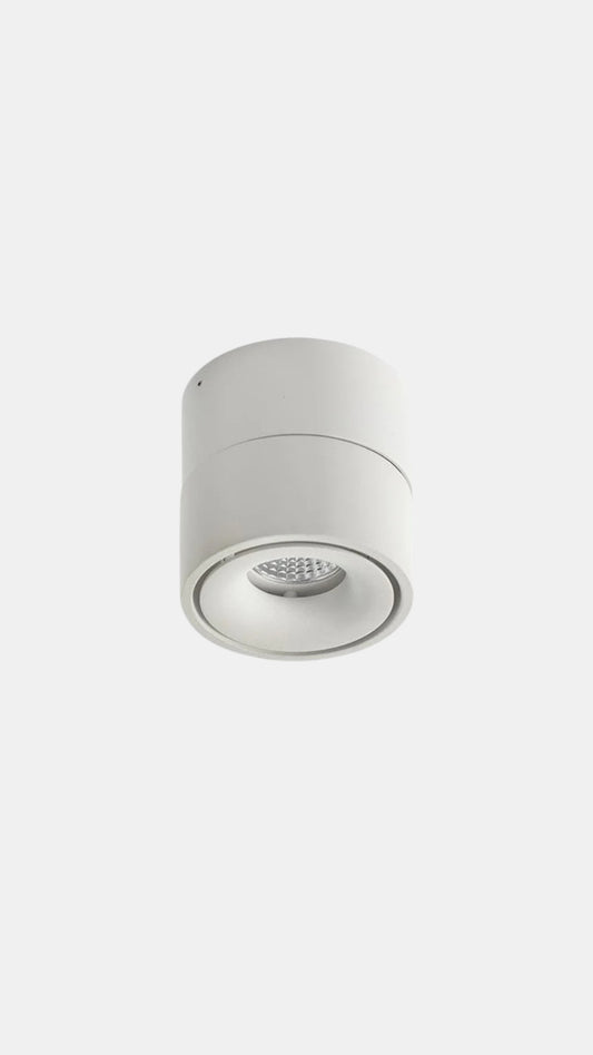 Lunar Adjustable LED Ceiling/Wall Light