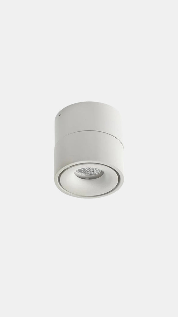 Lunar Adjustable LED Ceiling/Wall Light
