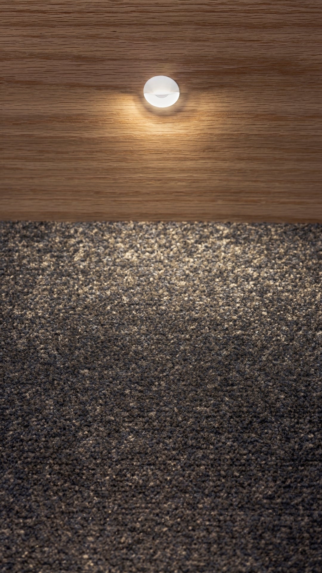 Paz LED Step Light